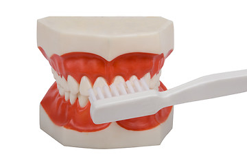 Image showing dentures, brush your teeth