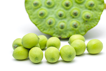 Image showing Freshness Lotus seed and pod