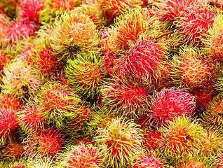 Image showing Red rambutan