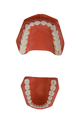 Image showing dentures, dental prosthesis