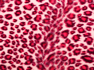 Image showing Leopard Printed in pink