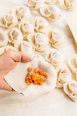 Image showing Making of Chinese dumpling