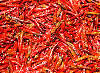 Image showing Red Chili peppers