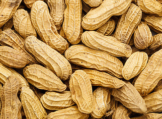 Image showing Peanut