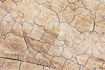 Image showing Dried crack land