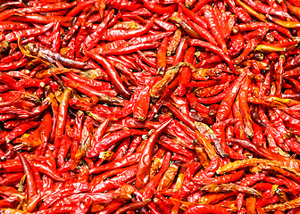 Image showing Red Chili peppers background