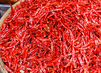 Image showing Red Chili peppers for dehydration