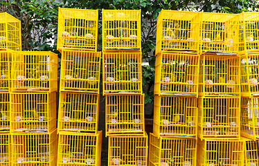 Image showing Bird Market in Hong Kong