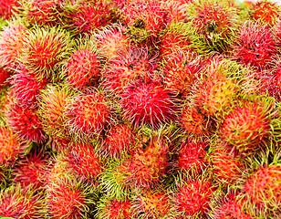 Image showing Red rambutan