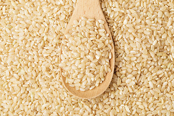 Image showing Brown rice on wooden teaspoon