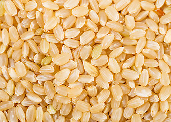 Image showing Brown rice