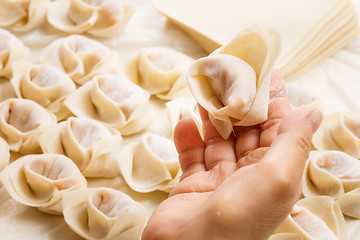 Image showing Making of Chinese dumpling