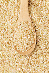 Image showing Brown rice on spoon