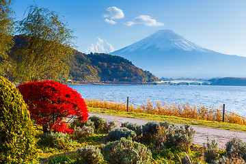 Image showing Mt. Fuji in autumn