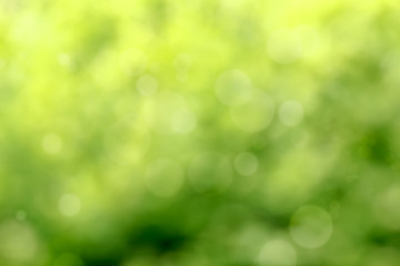 Image showing Beautiful green Bokeh for background