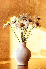 Image showing daisy flower in white vase with shallow focus