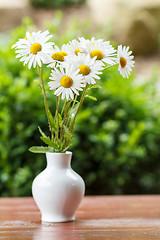 Image showing daisy flower in the vase with shallow focus