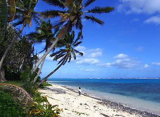 Image showing Island Walk