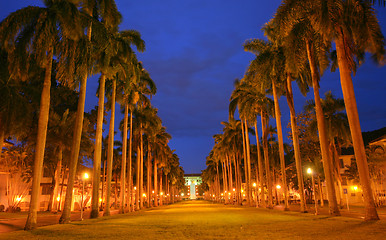 Image showing El Prado Avenue: monumental avenue, surrounding area of the Pana