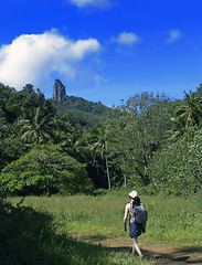 Image showing Tropical Walk