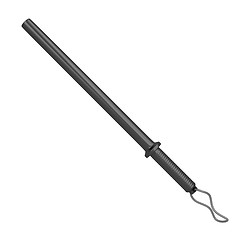 Image showing Police baton