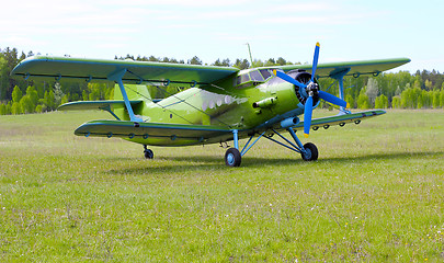 Image showing Biplane An-2 (Antonov)  at the airport