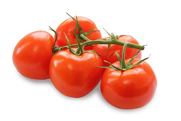 Image showing bunch of red tomatoes isolated on a white background