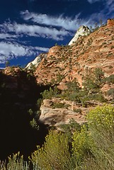 Image showing Zion National Park