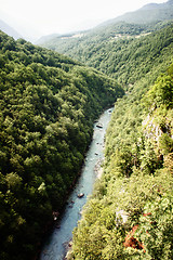 Image showing Tara river