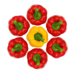 Image showing Top view, red and yellow sweet  bell pepper isolated on white ba