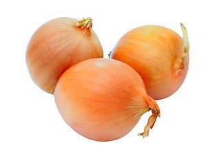 Image showing three golden onions, isolated on white background