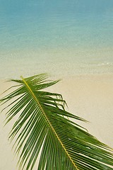 Image showing tropical beach landscape