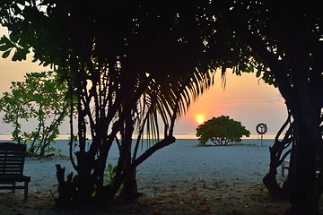 Image showing tropical beach landscape