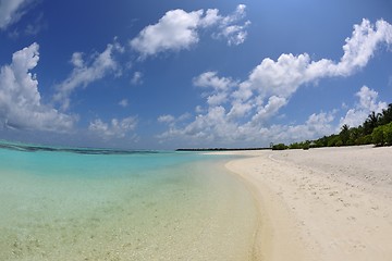 Image showing tropical beach landscape