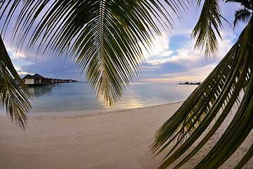 Image showing tropical beach landscape