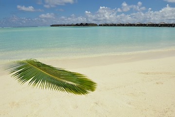 Image showing tropical beach landscape