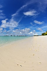 Image showing tropical beach landscape