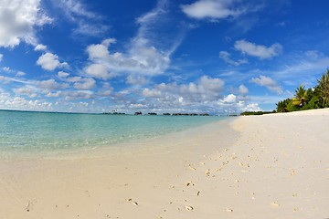 Image showing tropical beach landscape