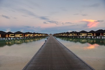 Image showing tropical water home villas