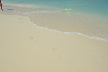 Image showing tropical beach landscape