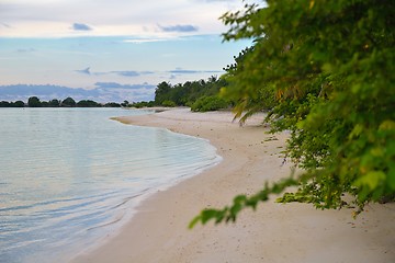 Image showing tropical beach landscape