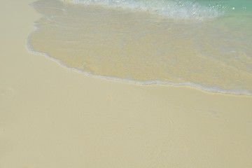 Image showing tropical beach landscape