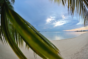 Image showing tropical beach landscape