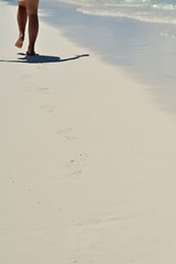 Image showing tropical beach landscape