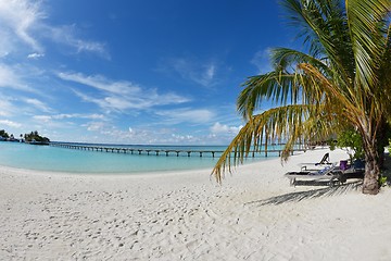 Image showing tropical beach landscape