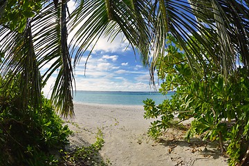 Image showing tropical beach landscape