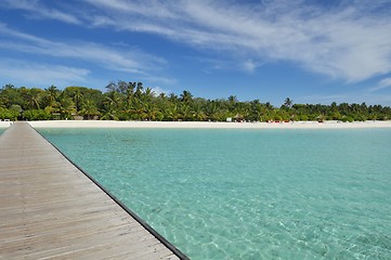 Image showing tropical beach landscape