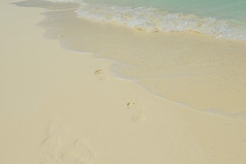 Image showing tropical beach landscape