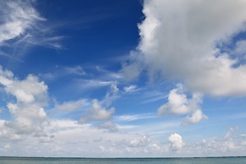 Image showing tropical beach landscape