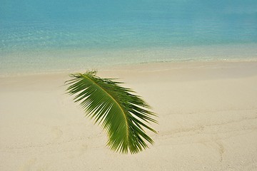 Image showing tropical beach landscape